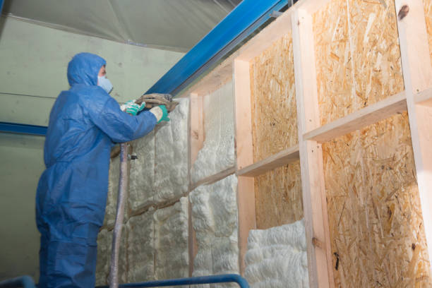 Insulation Repair Services in Parker, CO